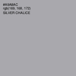 #A9A8AC - Silver Chalice Color Image